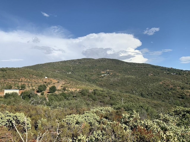 5755 Boulder Creek Rd, Julian, CA 92036 - view of mountain background