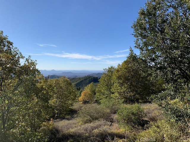 5755 Boulder Creek Rd, Julian, CA 92036 - view of mountain backdrop with a forest