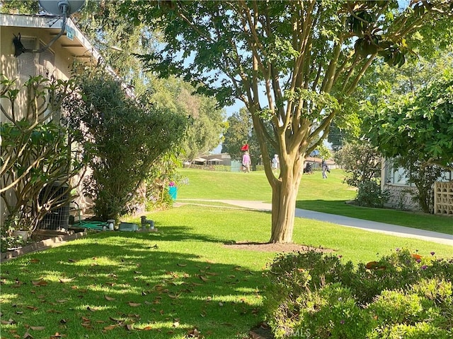 1830 Sunningdale Rd Unit M14-G, Seal Beach, CA 90740 - surrounding community featuring a yard