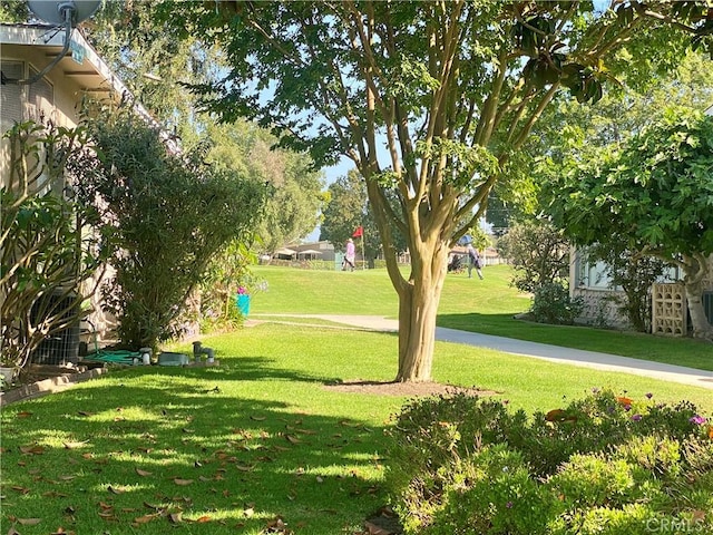 1830 Sunningdale Rd Unit M14-G, Seal Beach, CA 90740 - surrounding community featuring a yard