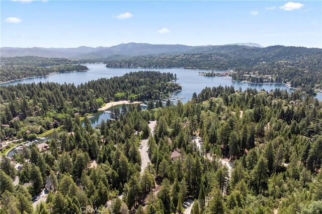 27528 Ashwood Ln, Lake Arrowhead, CA 92352 - photo 51