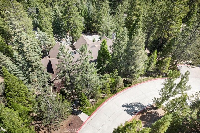 27528 Ashwood Ln, Lake Arrowhead, CA 92352 - photo 49