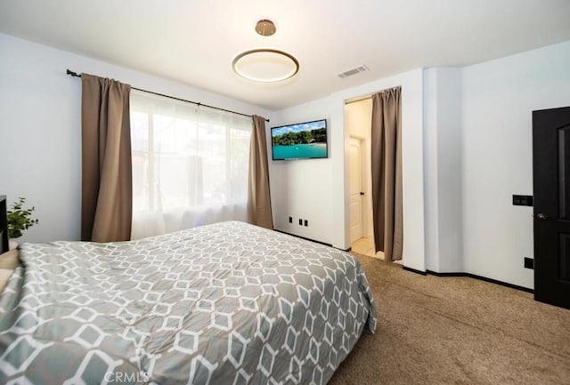 31090 Florence Ct, Winchester, CA 92596 - photo 19