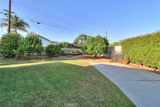 1247 E Marbury St, West Covina, CA 91790 - view of yard