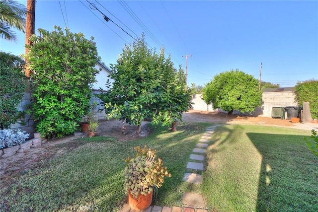 1247 E Marbury St, West Covina, CA 91790 - view of fenced backyard