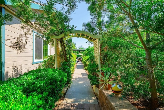 23007 Arjo Ln, Ramona, CA 92065 - view of yard