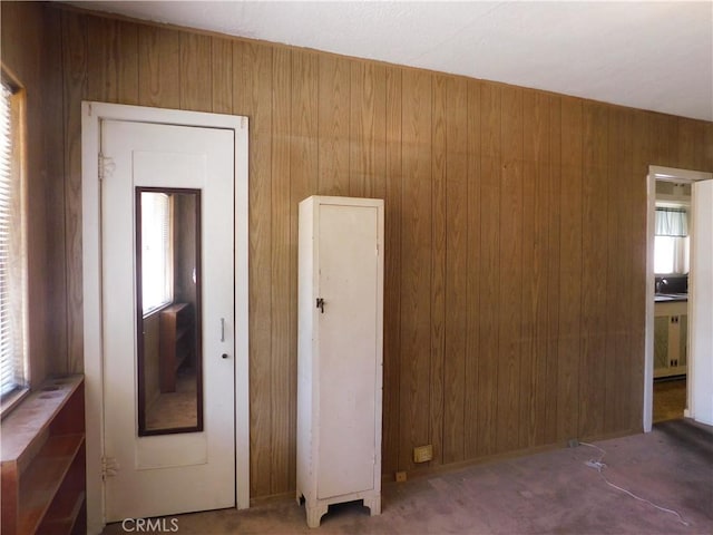10852 Otsego St, North Hollywood, CA 91601 - carpeted spare room featuring wooden walls and plenty of natural light