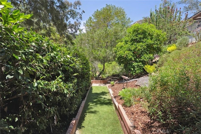24311 Sylvan Glen Rd, Calabasas, CA 91302 - view of yard