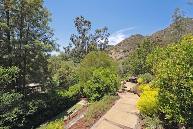 24311 Sylvan Glen Rd, Calabasas, CA 91302 - view of property's community with a mountain view and a view of trees