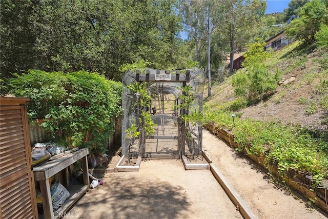 24311 Sylvan Glen Rd, Calabasas, CA 91302 - view of patio / terrace featuring a vegetable garden and view of scattered trees