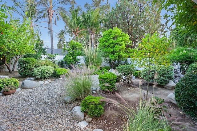 22570 Napa St, West Hills, CA 91304 - view of yard