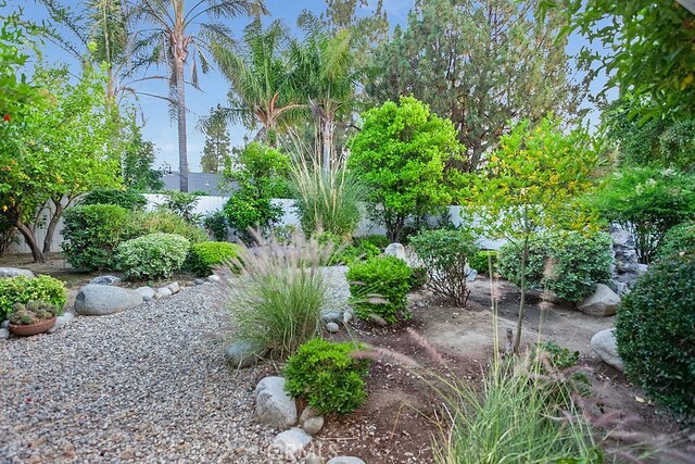 22570 Napa St, West Hills, CA 91304 - view of yard