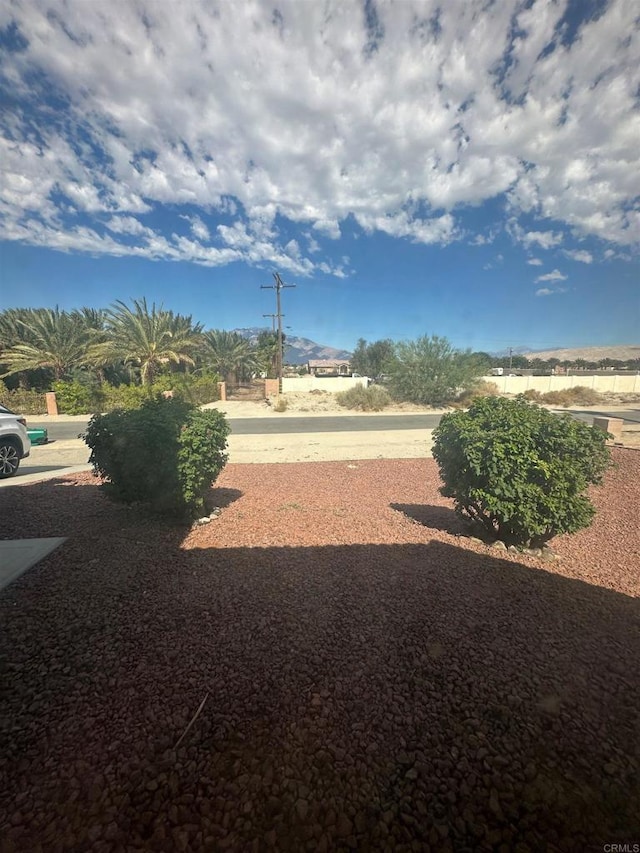 31100 Desert Palm Dr, Thousand Palms, CA 92276 - view of yard
