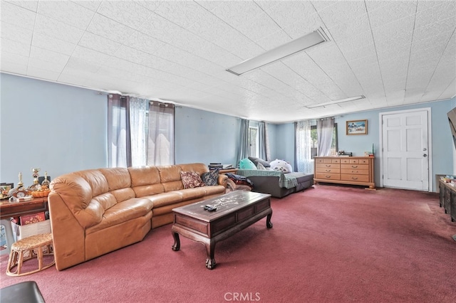 1002 N Iroquois Ave, Anaheim, CA 92801 - view of carpeted living room