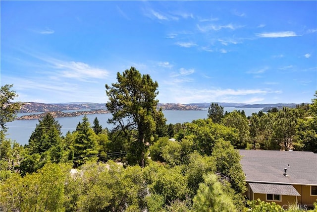 3466 Greenwood Dr, Kelseyville, CA 95451 - photo 13