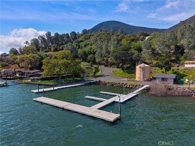 3466 Greenwood Dr, Kelseyville, CA 95451 - photo 52