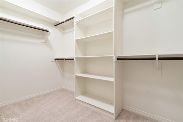 13246 Baxter Springs Dr, Rancho Cucamonga, CA 91739 - walk in closet featuring carpet floors