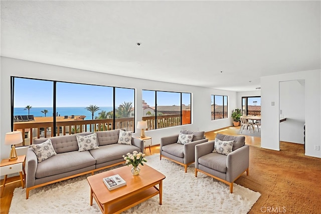409 Arenoso Ln Unit 9, San Clemente, CA 92672 - view of living room