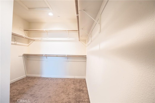 12893 Breccia Way, Moreno Valley, CA 92555 - walk in closet with attic access and carpet