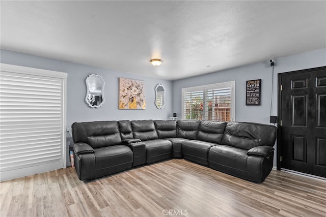 26120 Goldman Pl, Saugus, CA 91350 - living area featuring light wood-type flooring