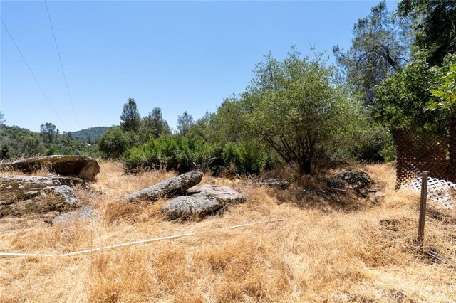4162 Sullivan Rd, Mariposa, CA 95338 - photo 33