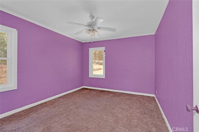 4162 Sullivan Rd, Mariposa, CA 95338 - photo 12