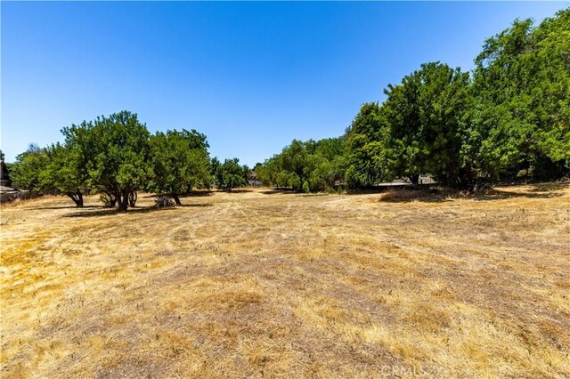 715 Orchard Dr, Paso Robles, CA 93446 - photo 32