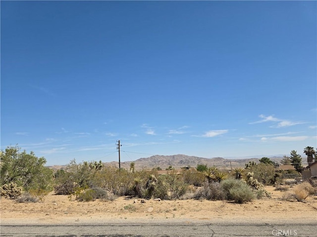 0 La Mirada Trl, Joshua Tree, CA 92252