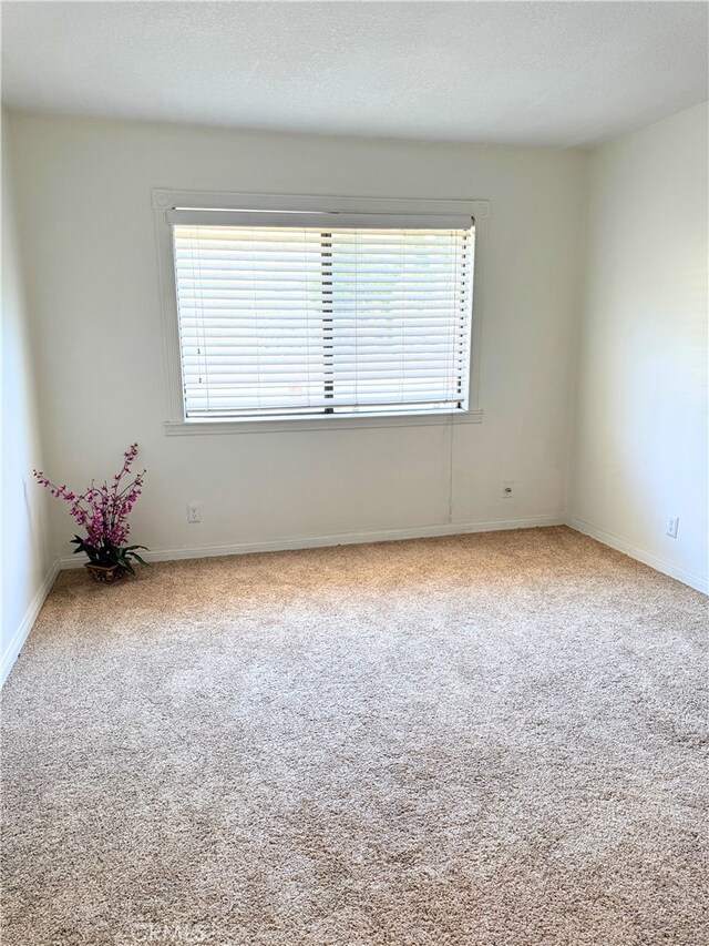 1480 W Edgehill Rd Unit 58, San Bernardino, CA 92405 - carpeted empty room with plenty of natural light