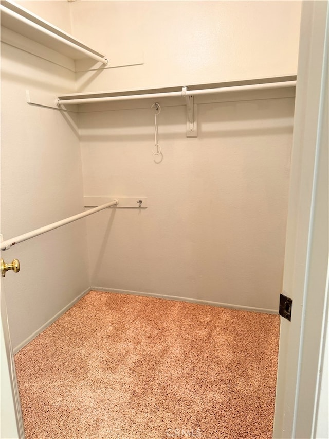 1480 W Edgehill Rd Unit 58, San Bernardino, CA 92405 - spacious closet with carpet flooring