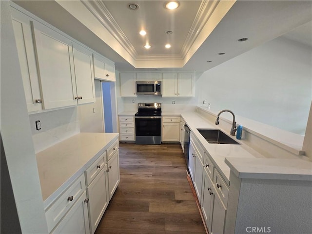 10281 Kings St, Los Alamitos, CA 90720 - kitchen featuring stainless steel appliances, ornamental molding, dark wood-type flooring, a raised ceiling, and light countertops