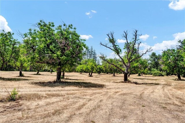 22550 Shady Grove Rd, Middletown, CA 95461 - photo 43