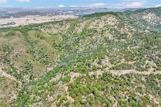 22550 Shady Grove Rd, Middletown, CA 95461 - view of property location featuring a mountain backdrop
