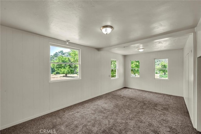 22550 Shady Grove Rd, Middletown, CA 95461 - carpeted empty room with healthy amount of natural light