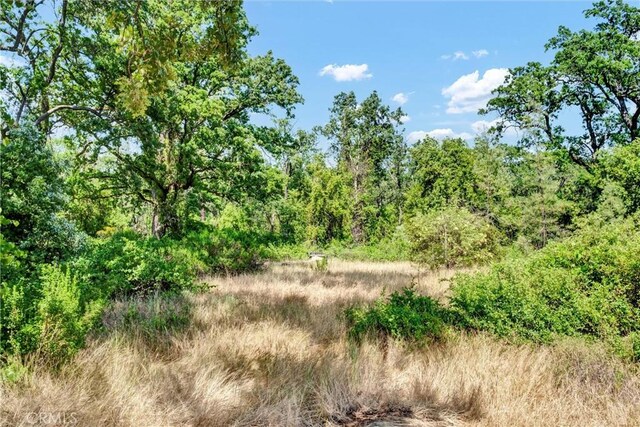 22550 Shady Grove Rd, Middletown, CA 95461 - photo 46