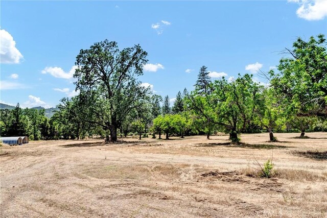 22550 Shady Grove Rd, Middletown, CA 95461 - photo 42