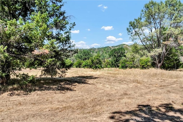 22550 Shady Grove Rd, Middletown, CA 95461 - view of woods