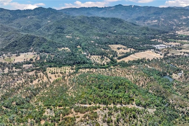 22550 Shady Grove Rd, Middletown, CA 95461 - view of mountain background