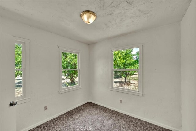 22550 Shady Grove Rd, Middletown, CA 95461 - photo 16