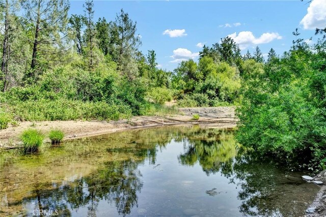 22550 Shady Grove Rd, Middletown, CA 95461 - photo 4