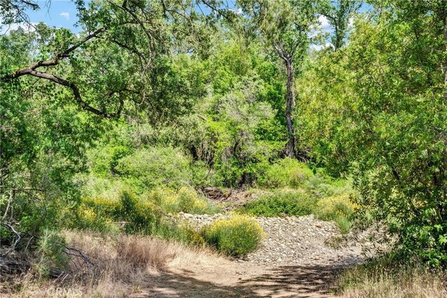 22550 Shady Grove Rd, Middletown, CA 95461 - photo 47