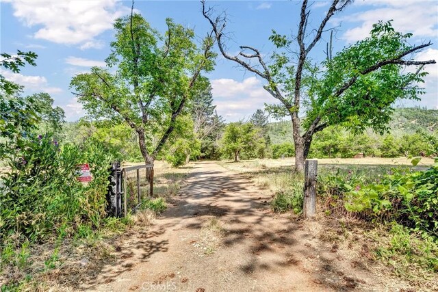 22550 Shady Grove Rd, Middletown, CA 95461 - photo 37