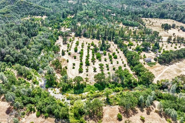 22550 Shady Grove Rd, Middletown, CA 95461 - photo 34