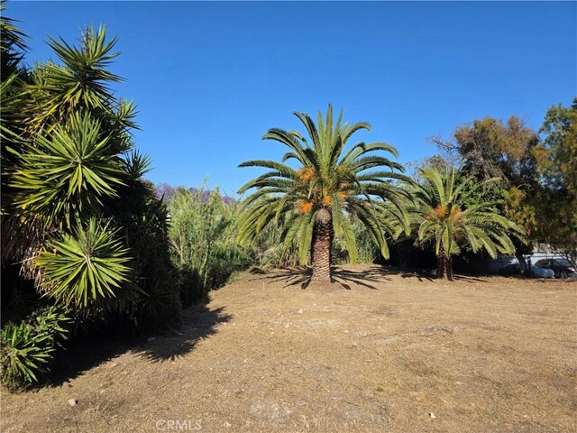 1100 S Patton Ave, San Pedro, CA 90731 - photo 10