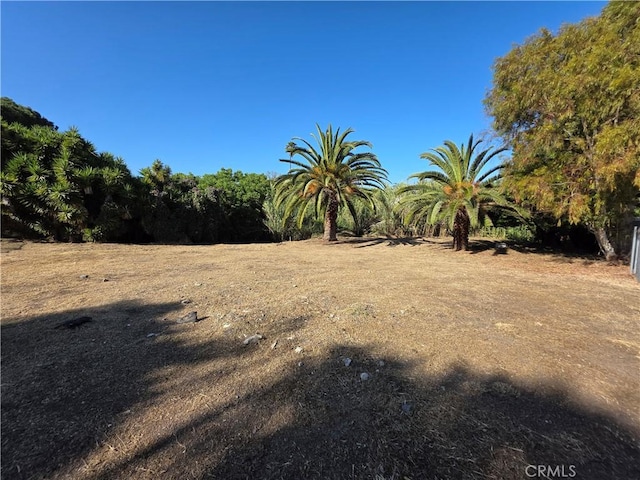 1100 S Patton Ave, San Pedro, CA 90731 - photo 1