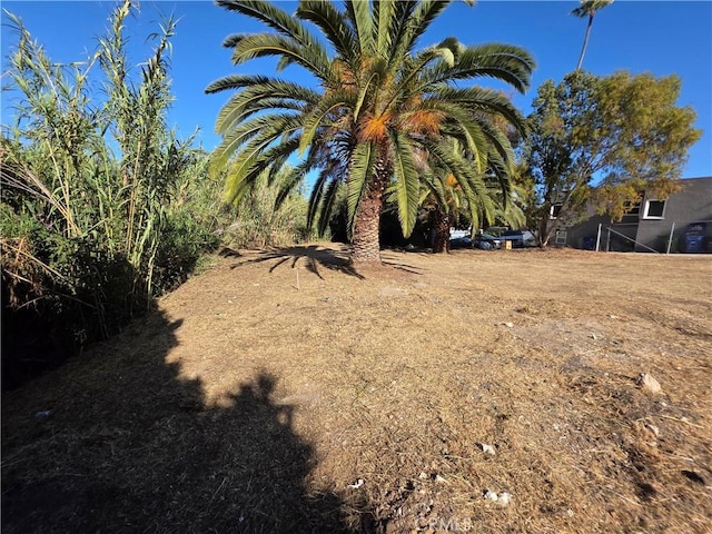 1100 S Patton Ave, San Pedro, CA 90731 - photo 7