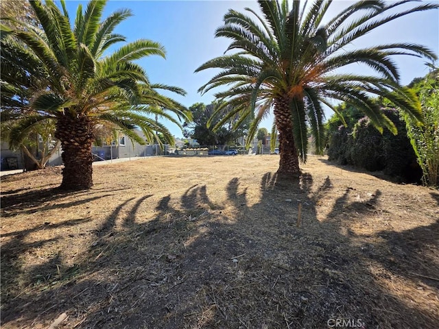 1100 S Patton Ave, San Pedro, CA 90731 - photo 6