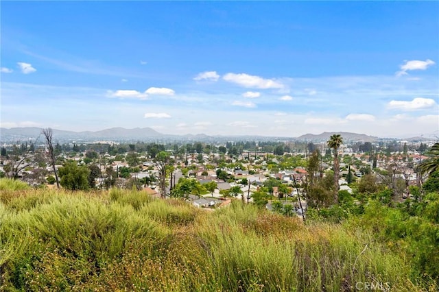 3050 Tyler St, Riverside, CA 92503
