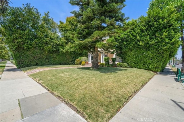 268 S Norton Ave, Los Angeles, CA 90004 - view of property's community featuring a yard