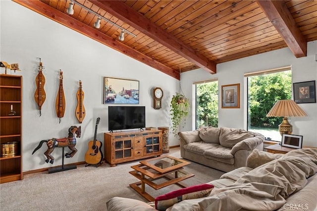 512 S Crawford Ave, Willows, CA 95988 - carpeted living area featuring wood ceiling and rail lighting